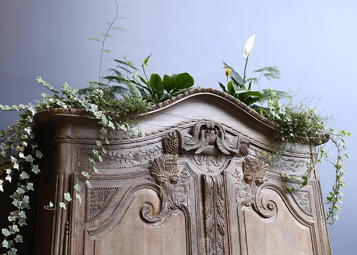 Manoir De L'eveche Et Апарт-отель